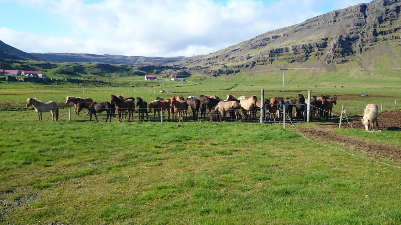 Privatunterkunft Laekjarhus Farm Holidays Borgarhöfn