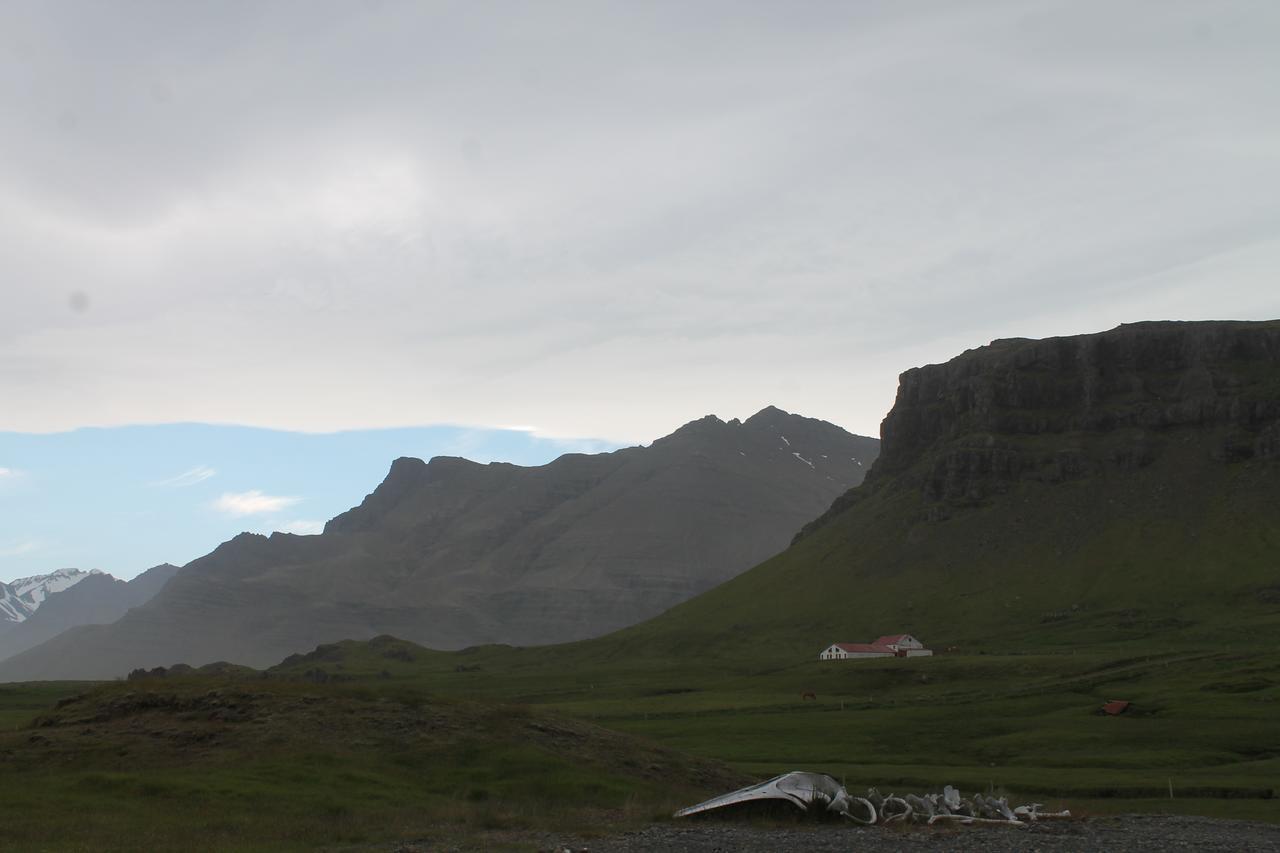 Laekjarhus Farm Holidays Privatunterkunft Borgarhöfn
